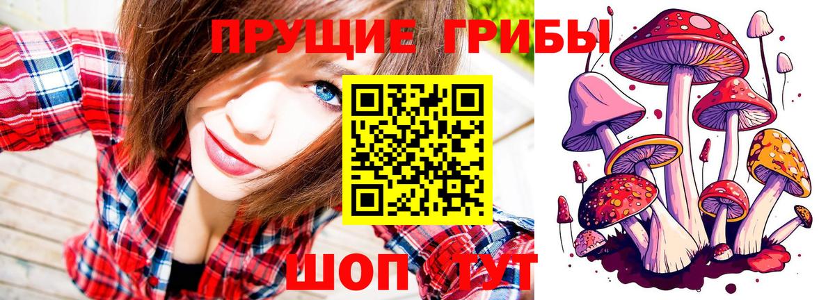 Псилоцибиновые грибы мухоморы  Вход с VPN  Кизляр 